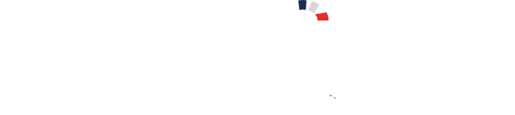 Logo Numerismile blanc